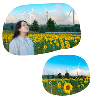 私たちについての写真