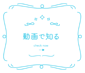 動画で知る